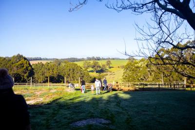 Pump Hill Farm Cottages