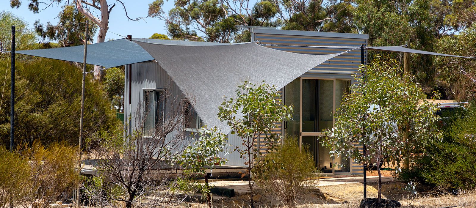 WhiteGum Farm
