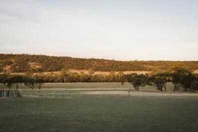 Lavendale Country Retreat
