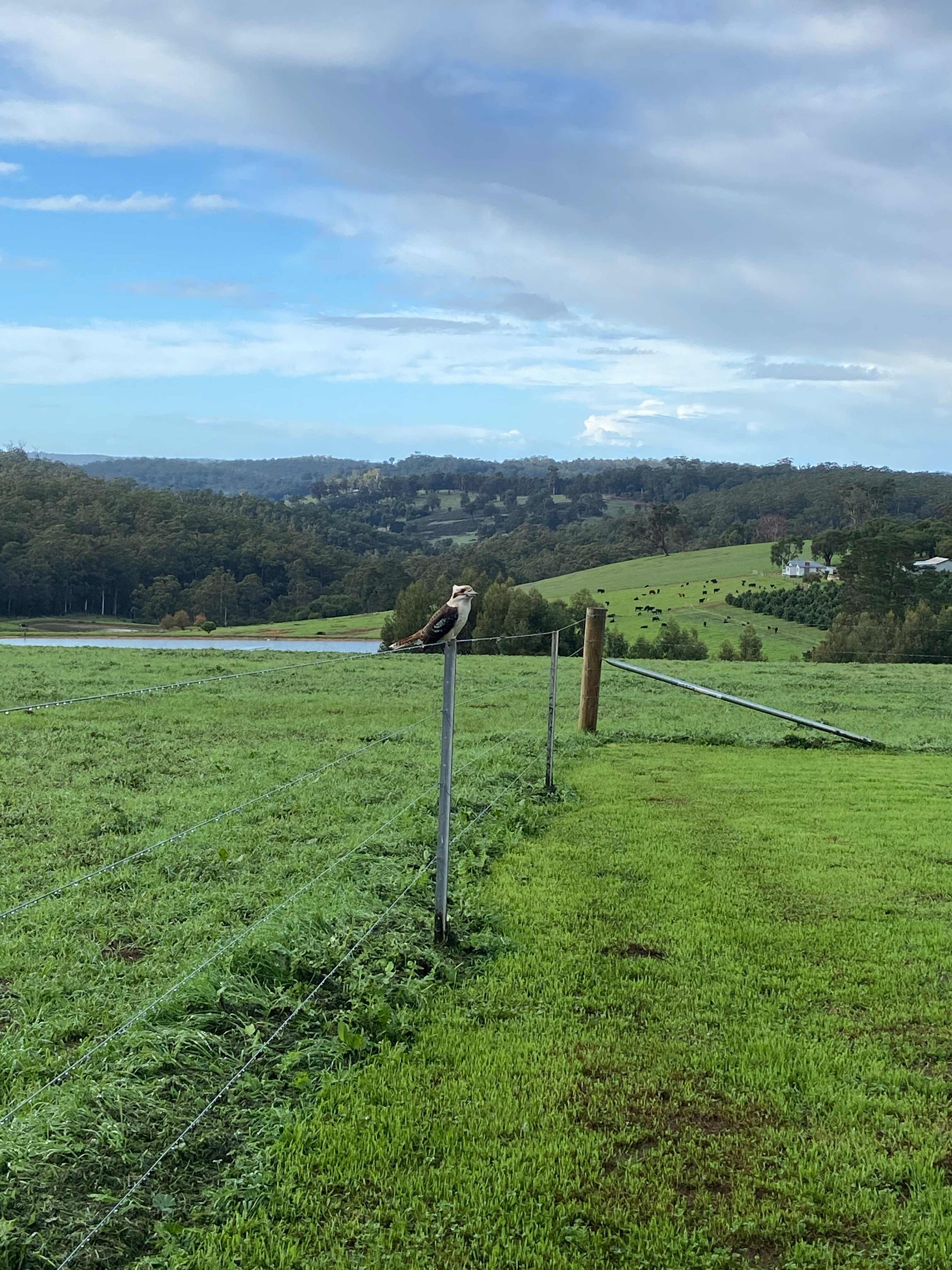 Fernbrook Farm Stay