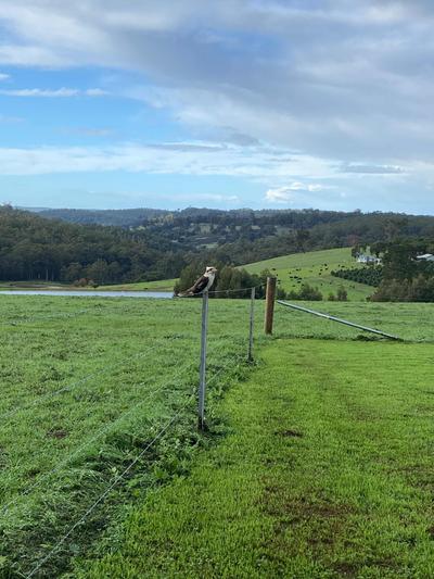 Fernbrook Farm Stay