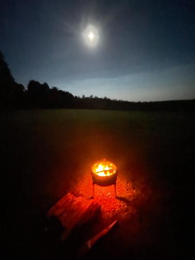 Fernbrook Farm Stay