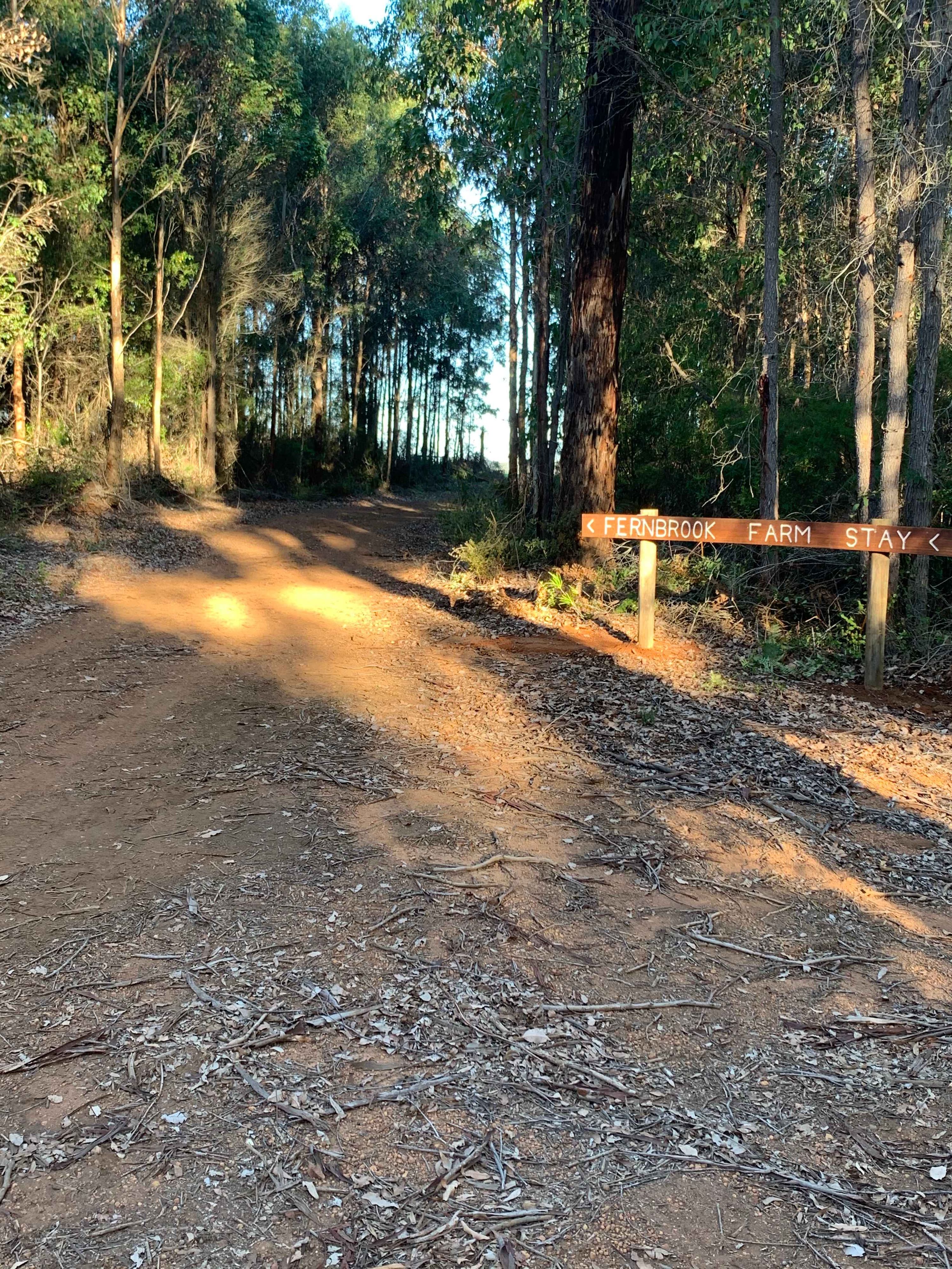 Fernbrook Farm Stay