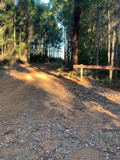 Fernbrook Farm Stay