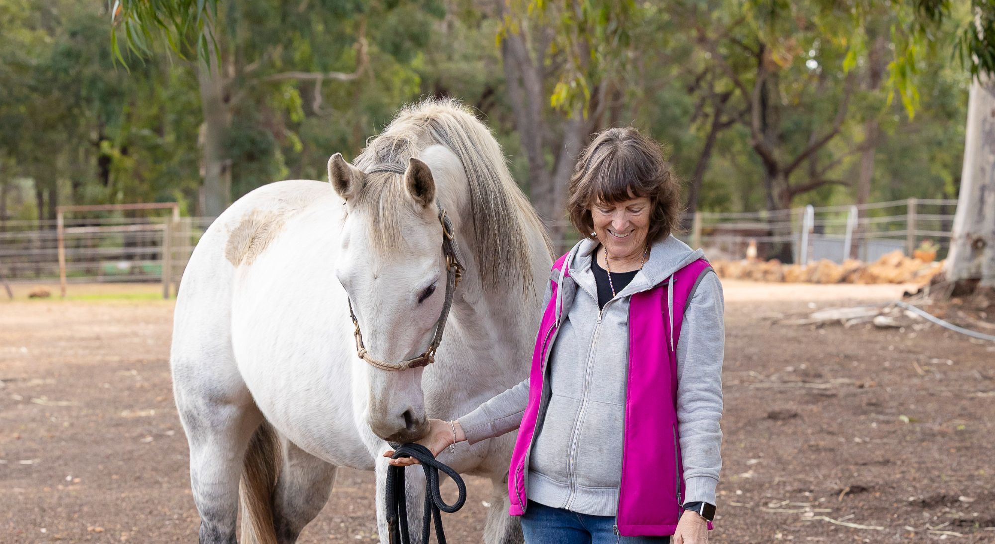 Equine & Human Connections