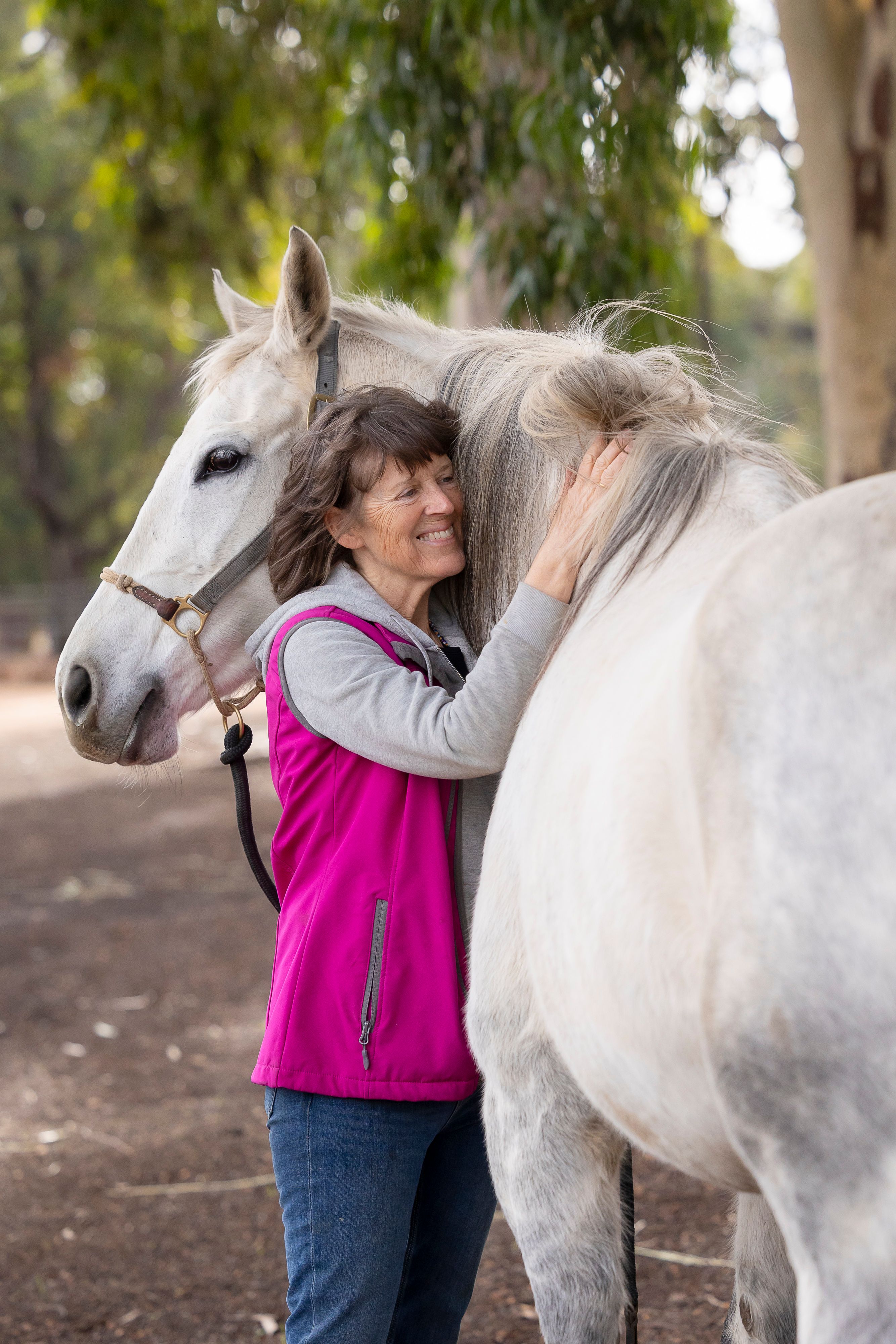 Equine & Human Connections