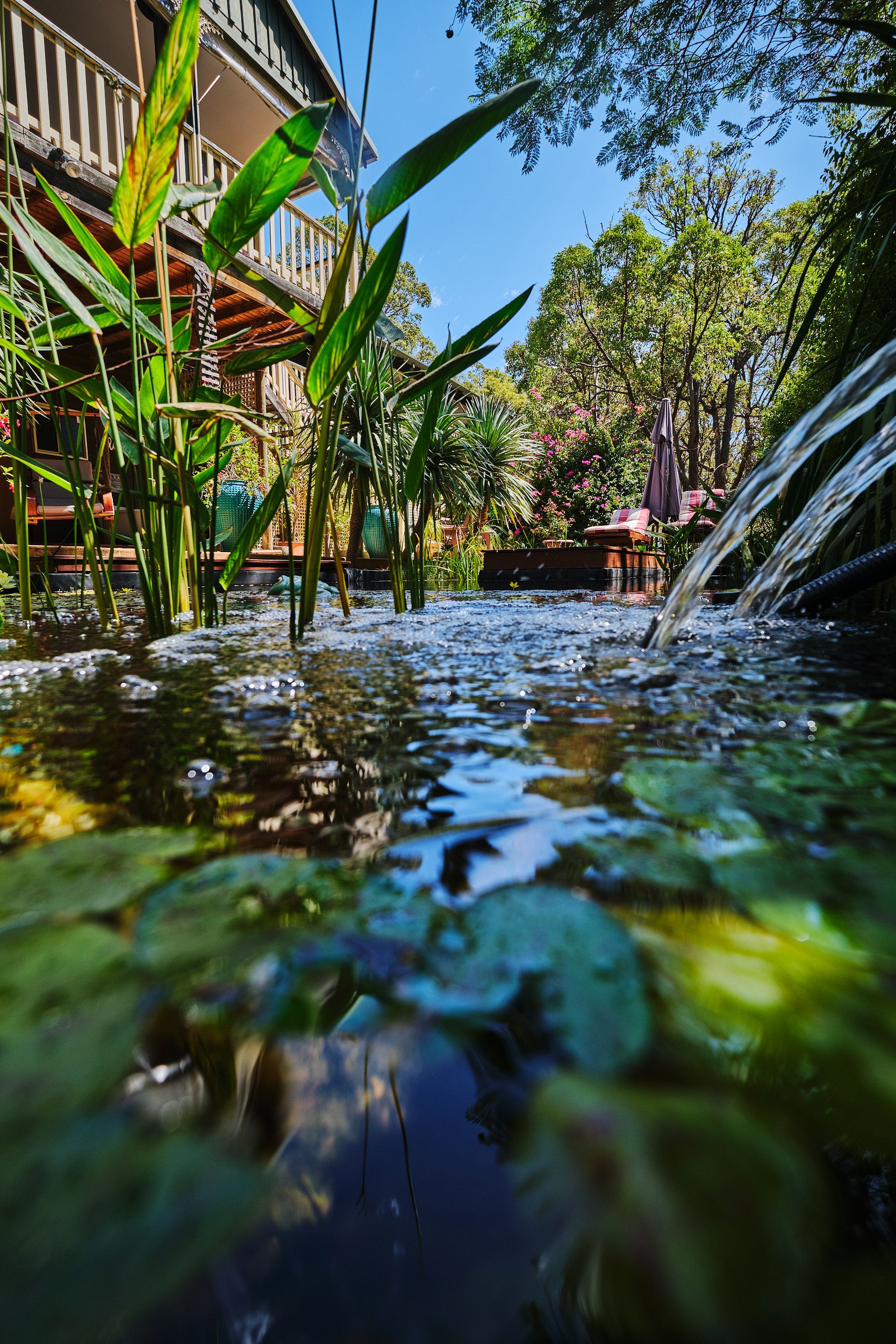 Natures Paradise