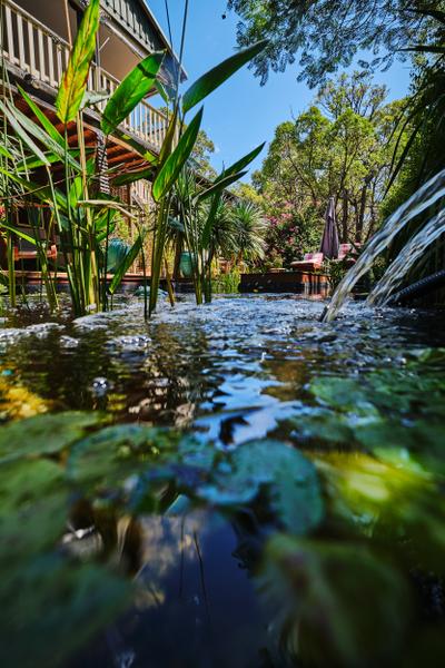 Natures Paradise