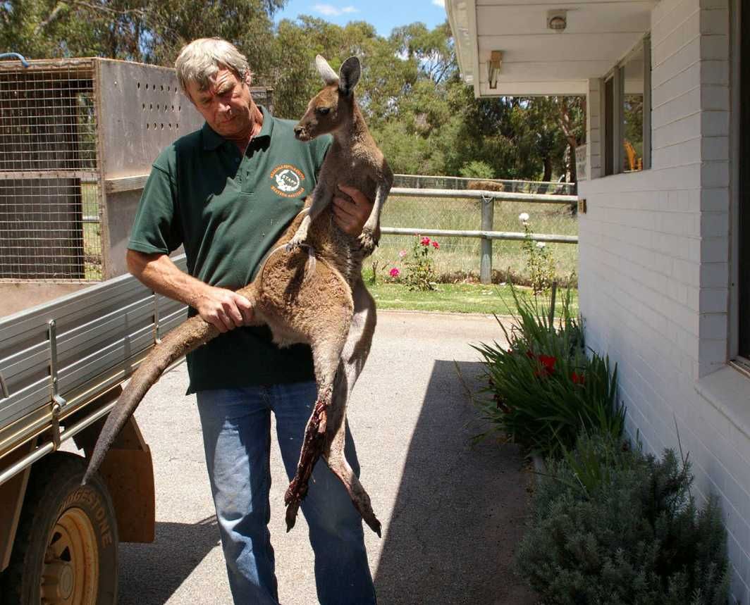 Armadale Reptile & Wildlife Centre