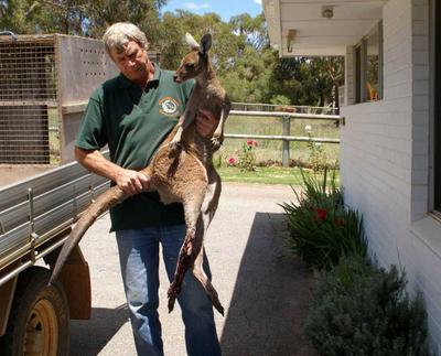 Armadale Reptile & Wildlife Centre