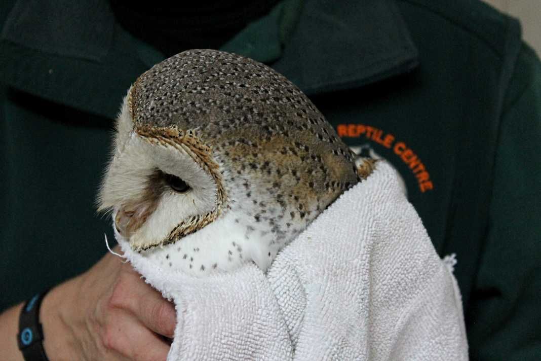Armadale Reptile & Wildlife Centre