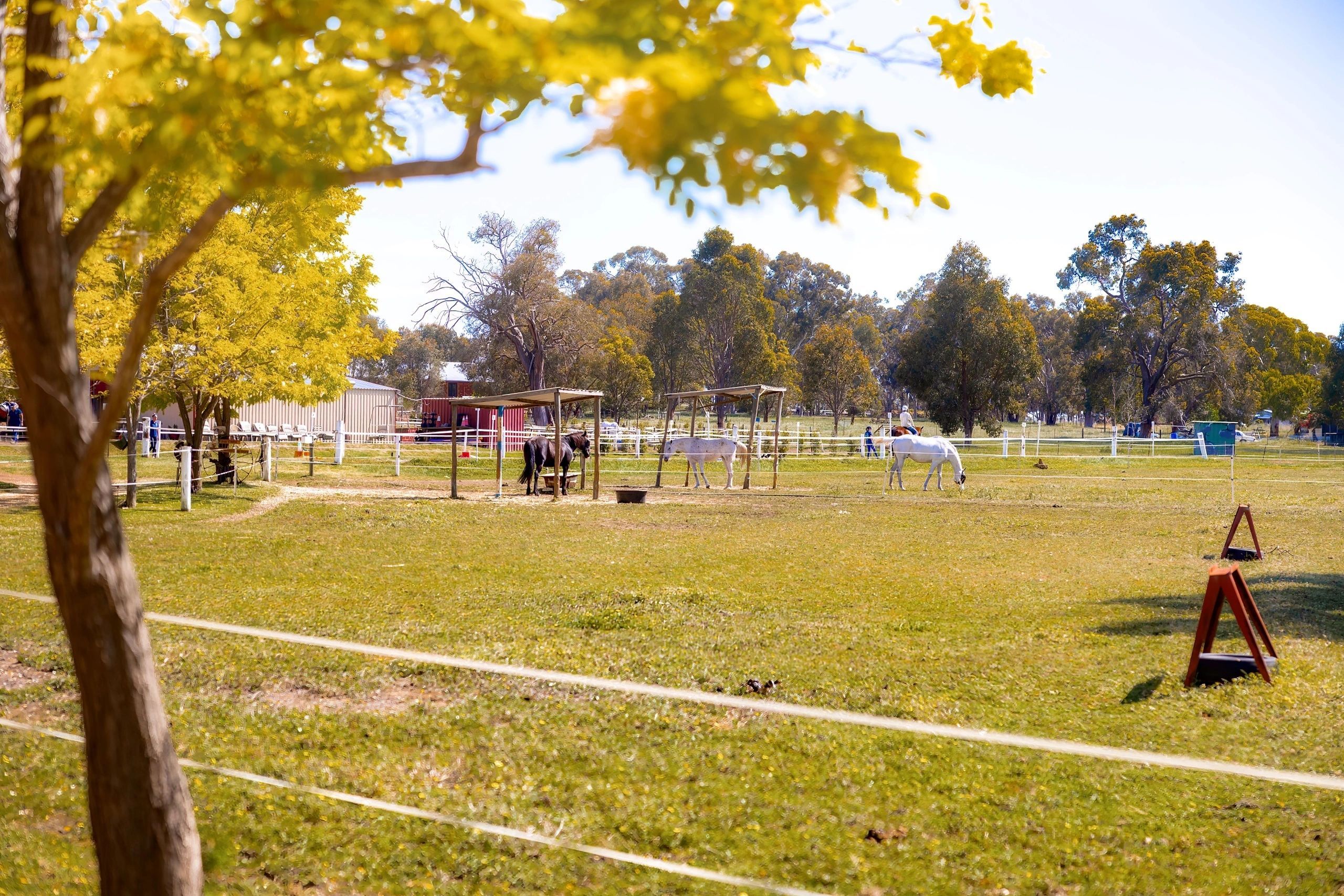Green Gables Stables