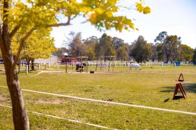 Green Gables Stables