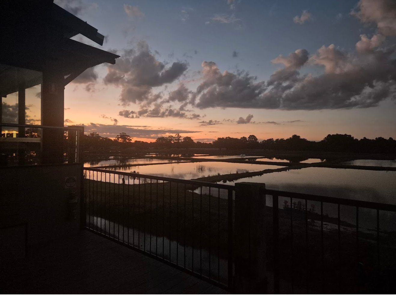Media 1