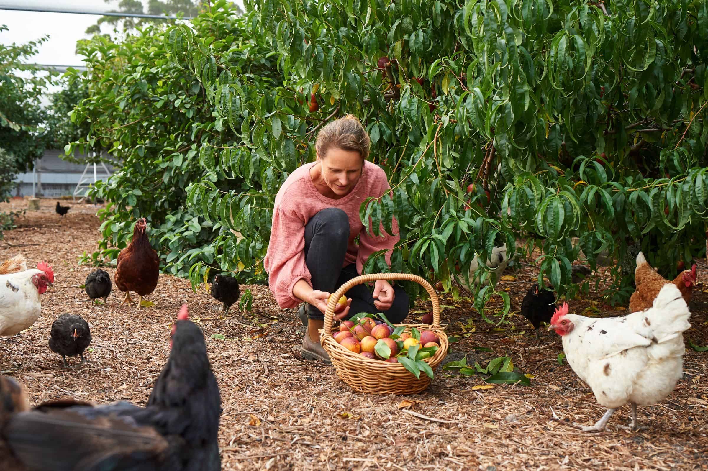 Burnside Organic Farm