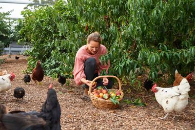 Burnside Organic Farm