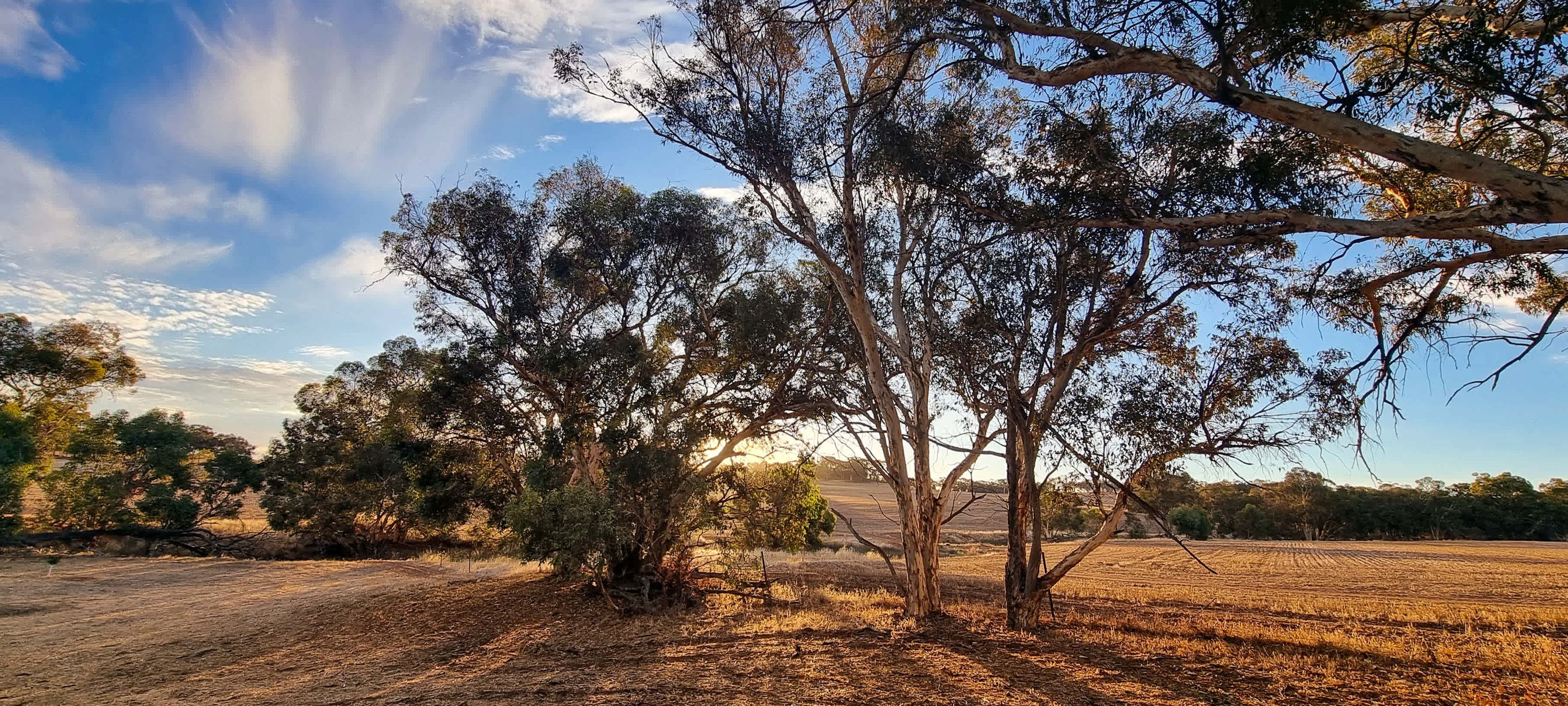 Brookdale Farm