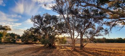 Brookdale Farm