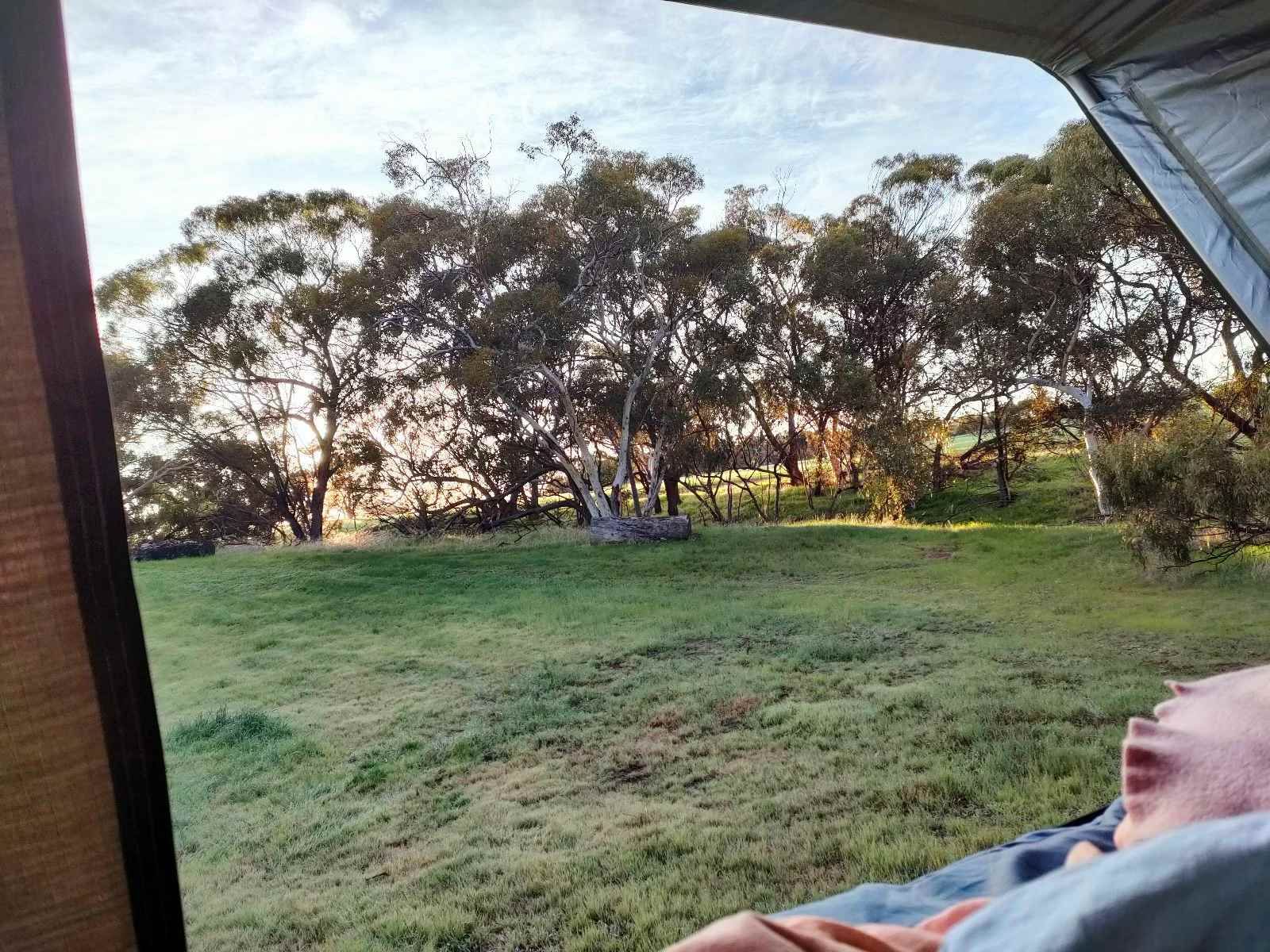 Brookdale Farm