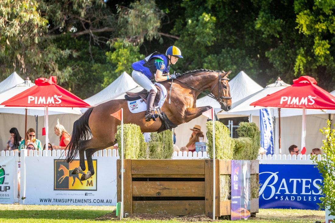 Eminence cross country eventing thoroughbred