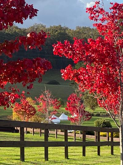 Orana Retreat