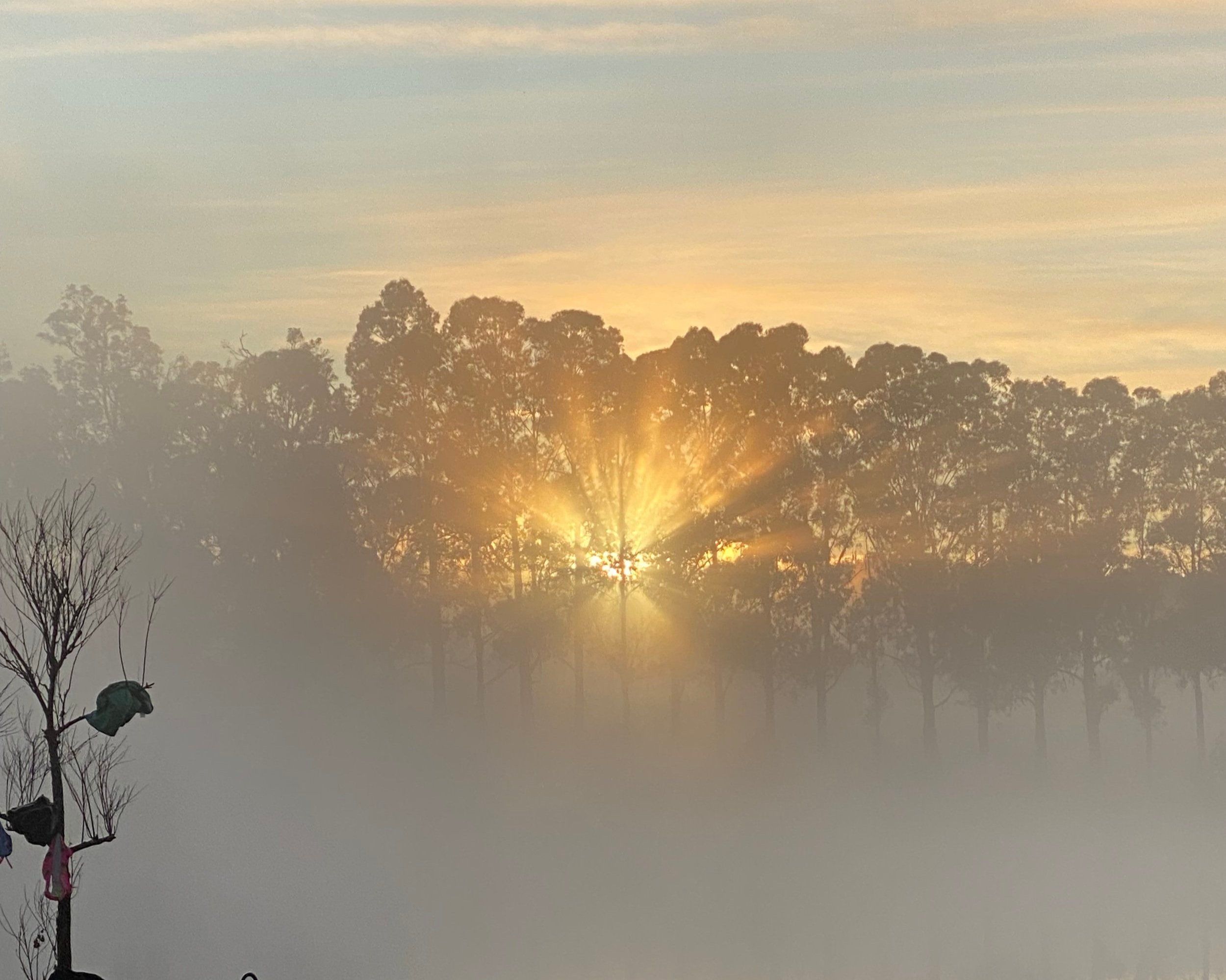 Orana Retreat