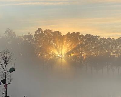 Orana Retreat