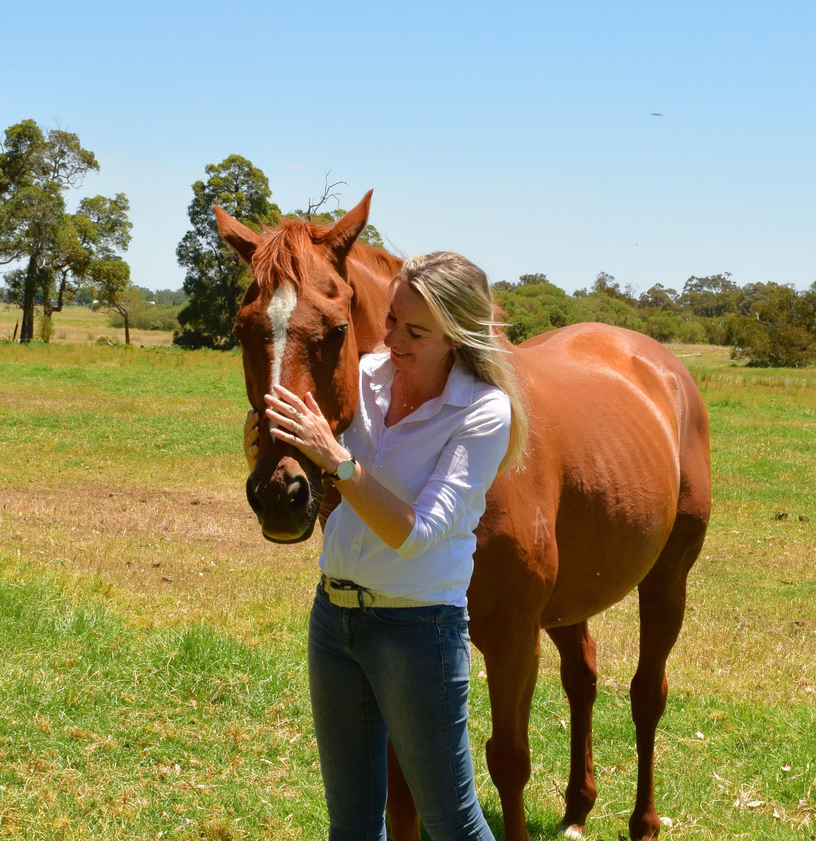 Horse Sense