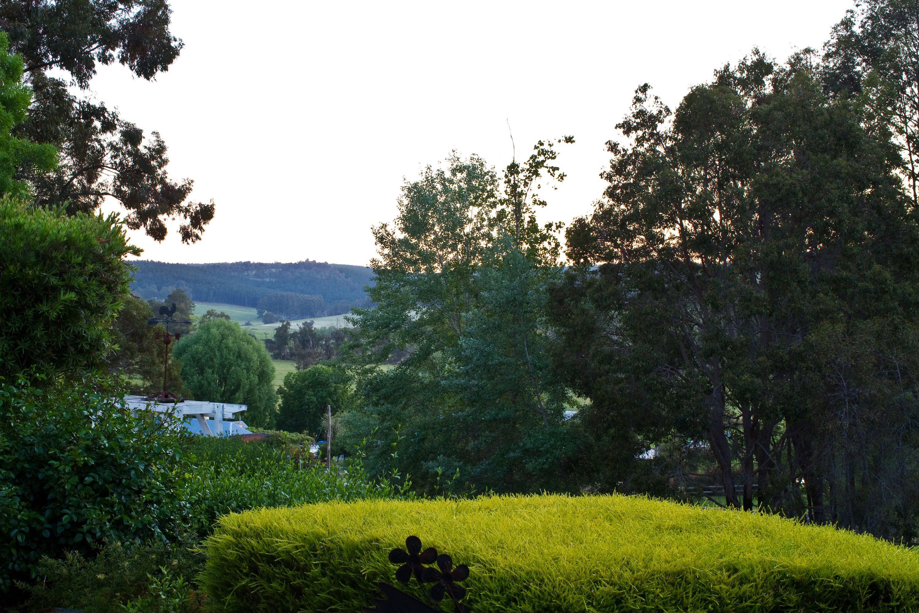 Willows Rest