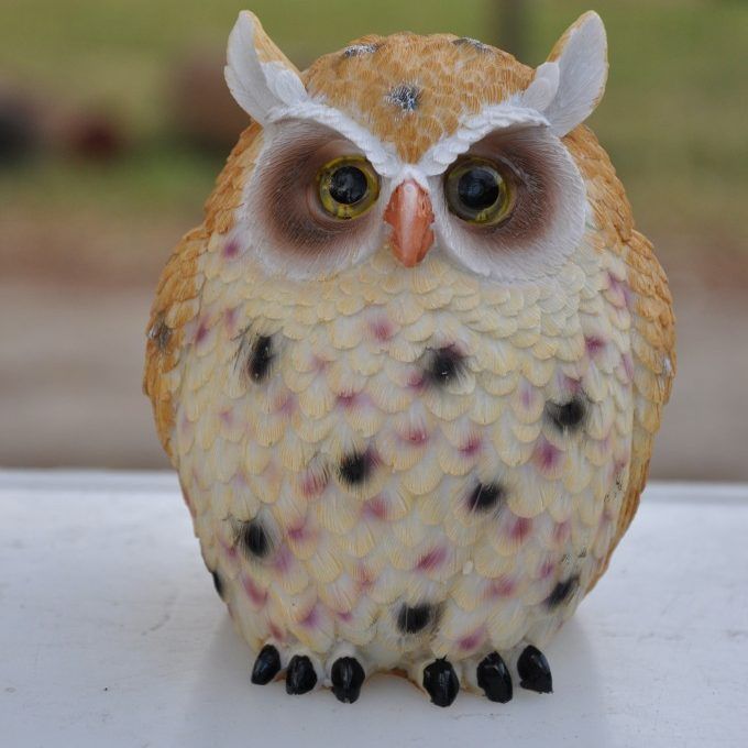 Western Australian Birds of Prey Centre
