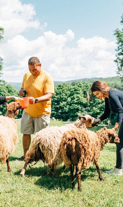 BrookHempTon Tree Farm