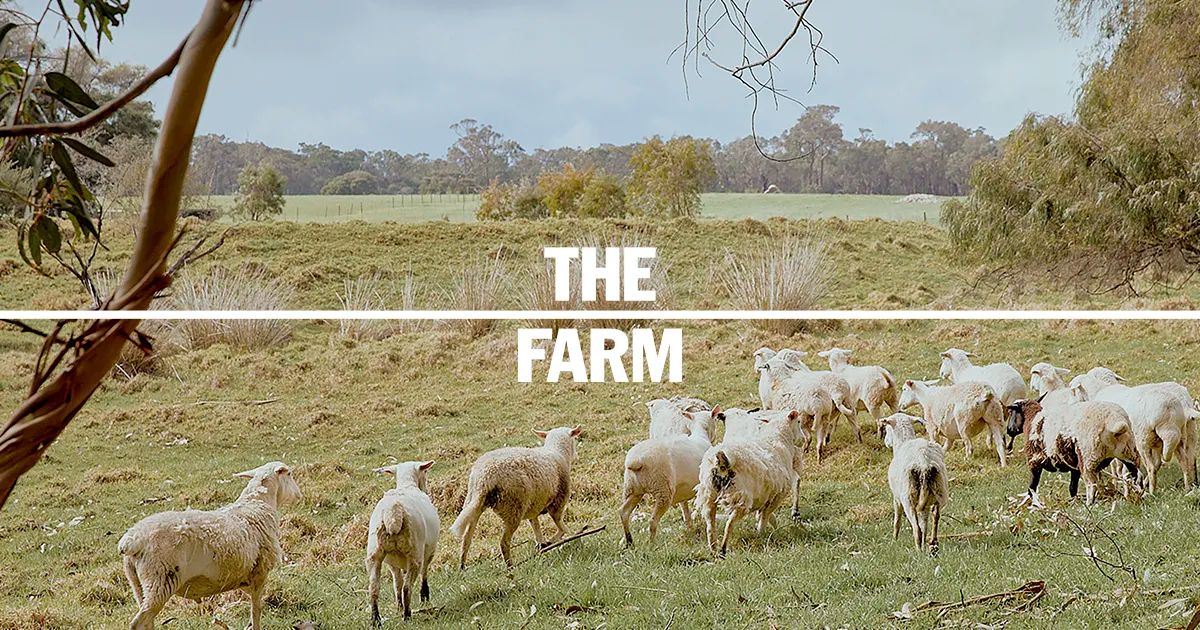 The Farm Margaret River