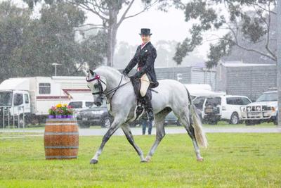 Foxwood Farm Equestrian Centre