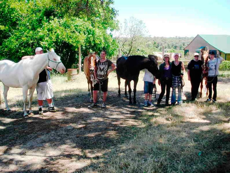 Horse Vision Centre