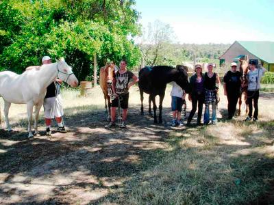 Horse Vision Centre