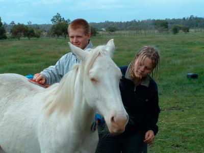 Horse Vision Centre
