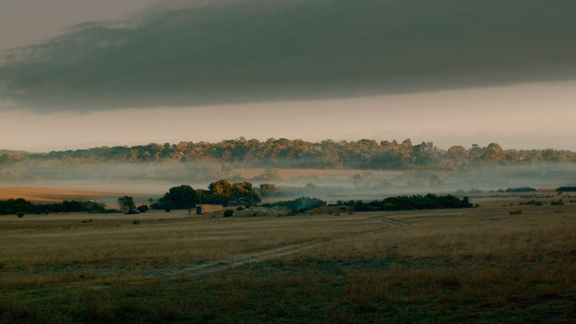 The Tiller Farm