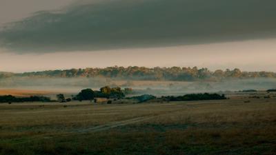 The Tiller Farm