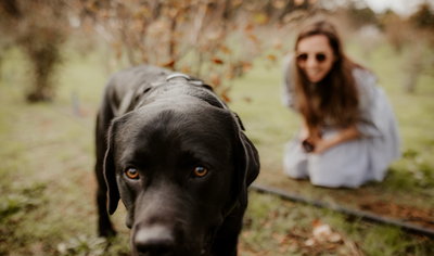 The Margaret River Truffle Farm