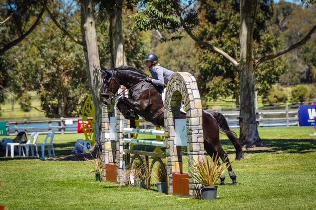 Yalambi Farm Stud