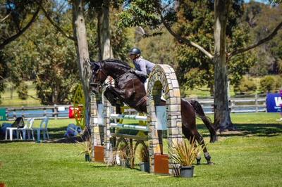 Yalambi Farm Stud