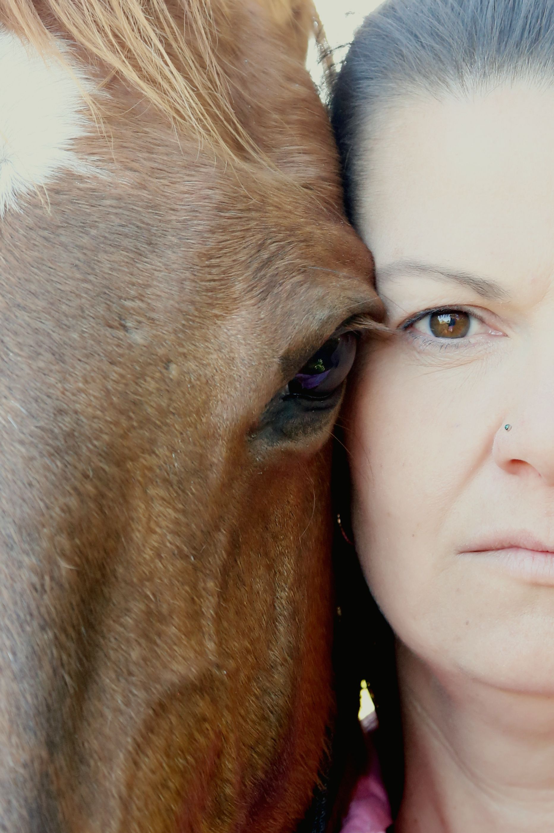 BeStable Bel & Horse