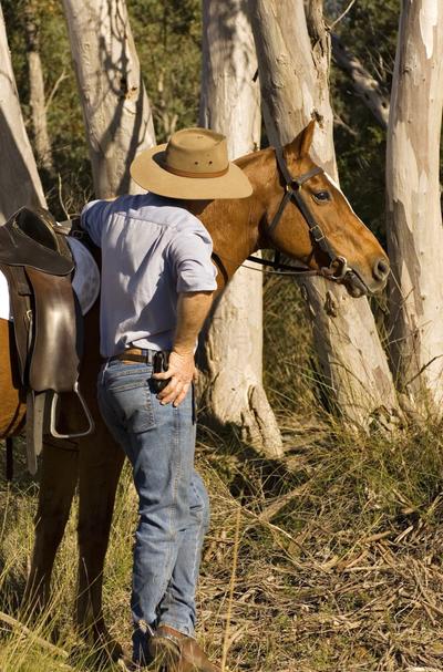 A stockman with his Australian Stock Horse in the gum trees at Jesters Flat