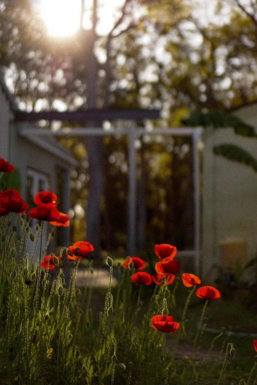 Shambala Nature Retreat