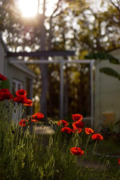 Shambala Nature Retreat