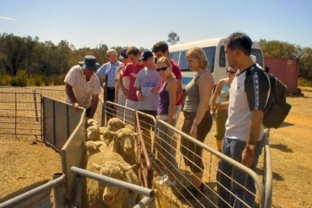 Boshack Outback - Perth Eco Farm Stay