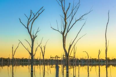 Boshack Outback - Perth Eco Farm Stay