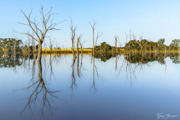 Boshack Outback - Perth Eco Farm Stay