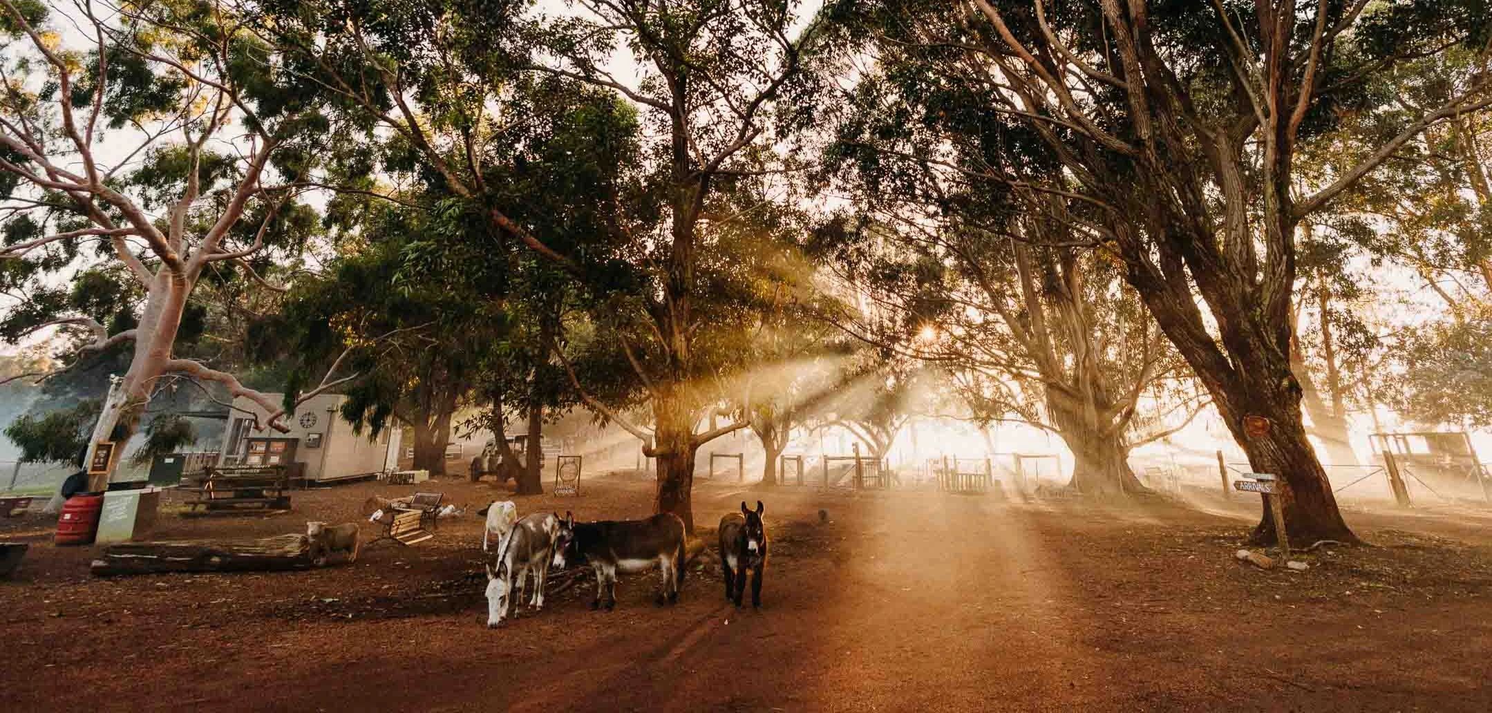Margaret River Holiday Cottages