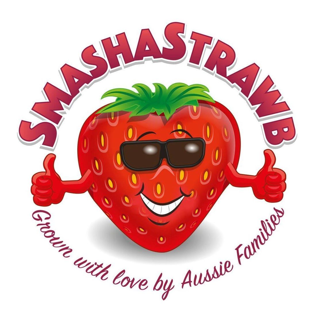 SMASHASTRAWB